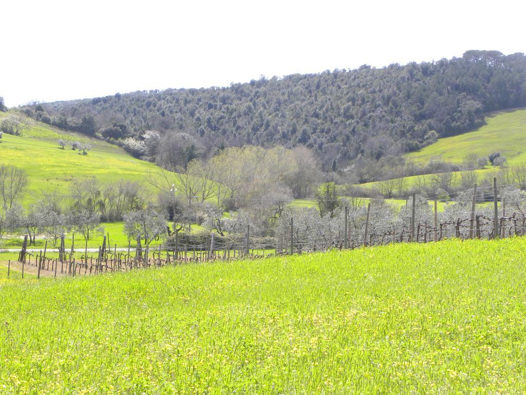 Agriristoro Podere S. Andrea Масса-Мариттима Экстерьер фото