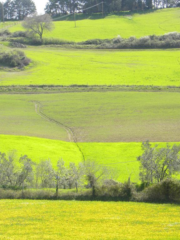 Agriristoro Podere S. Andrea Масса-Мариттима Экстерьер фото