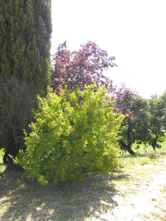 Agriristoro Podere S. Andrea Масса-Мариттима Экстерьер фото