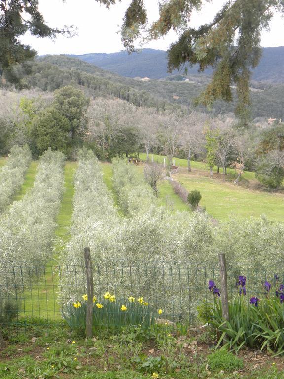 Agriristoro Podere S. Andrea Масса-Мариттима Экстерьер фото